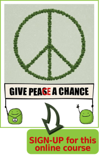 give peace a chance_online course